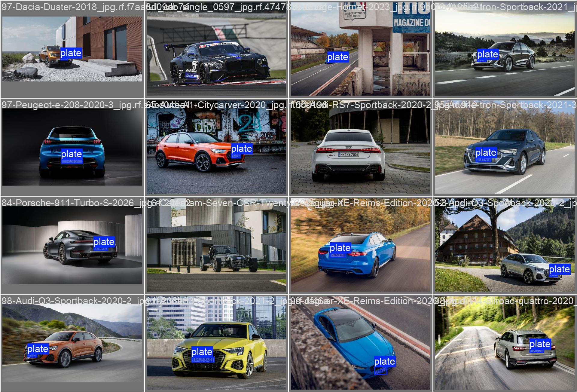 PlateDetection labels batch sample 0