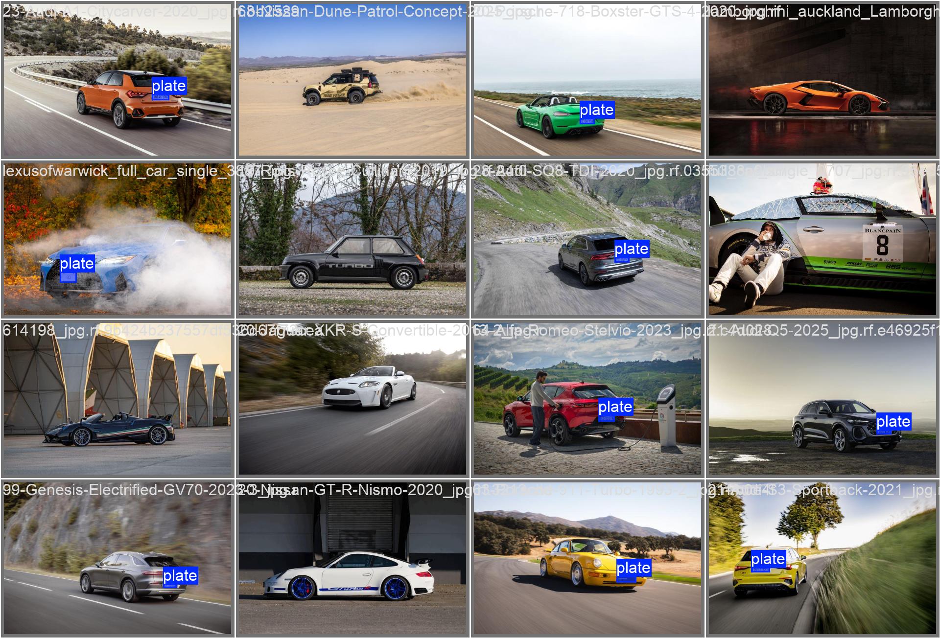 PlateDetection labels batch sample 1