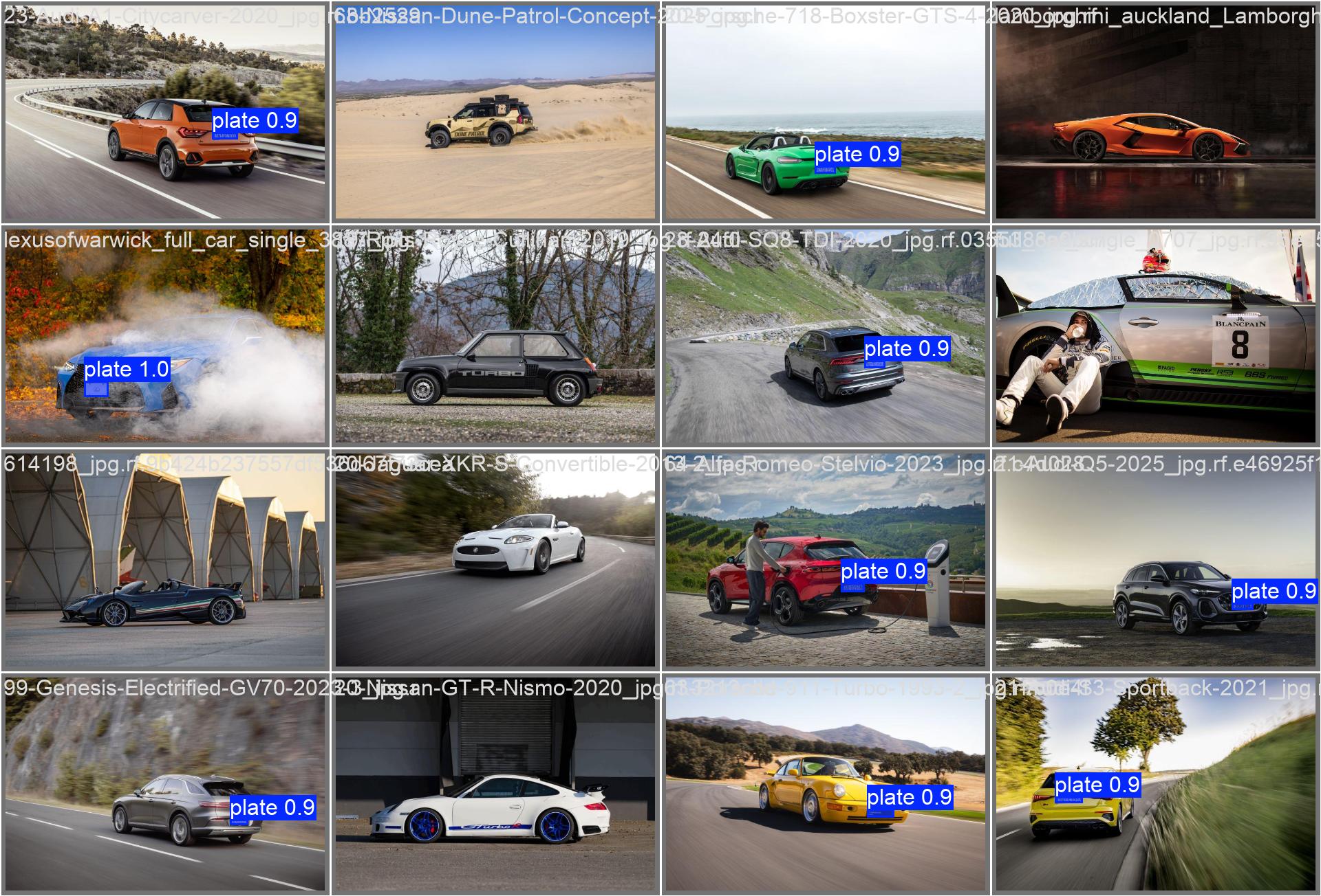 PlateDetection predictions batch sample 1